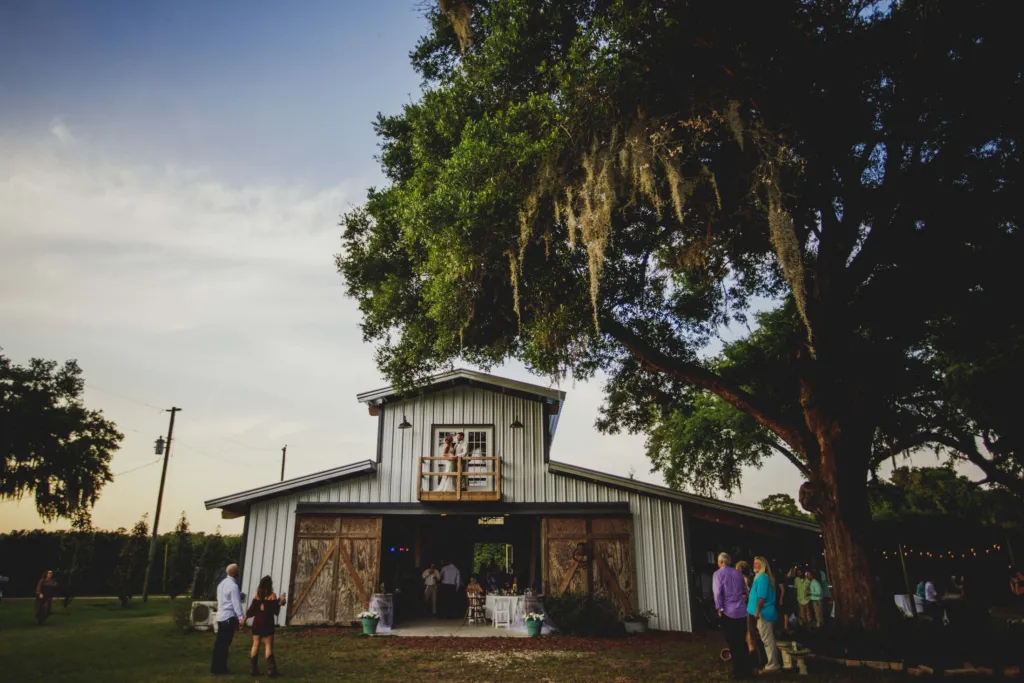 Guests gather at the open barn doors at dusk beneath a moss-draped oak