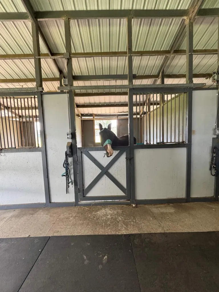 Stall fronts inside the horse barn