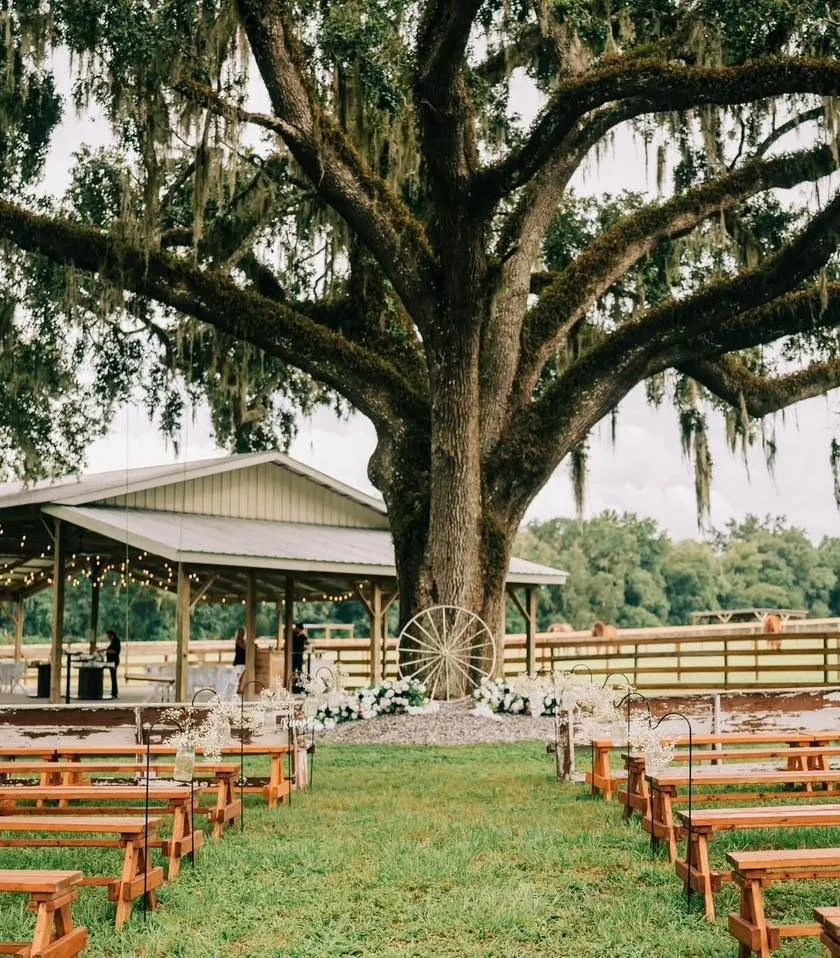 Rows of wooden benches facing the ceremony site beneath a moss-draped oak
