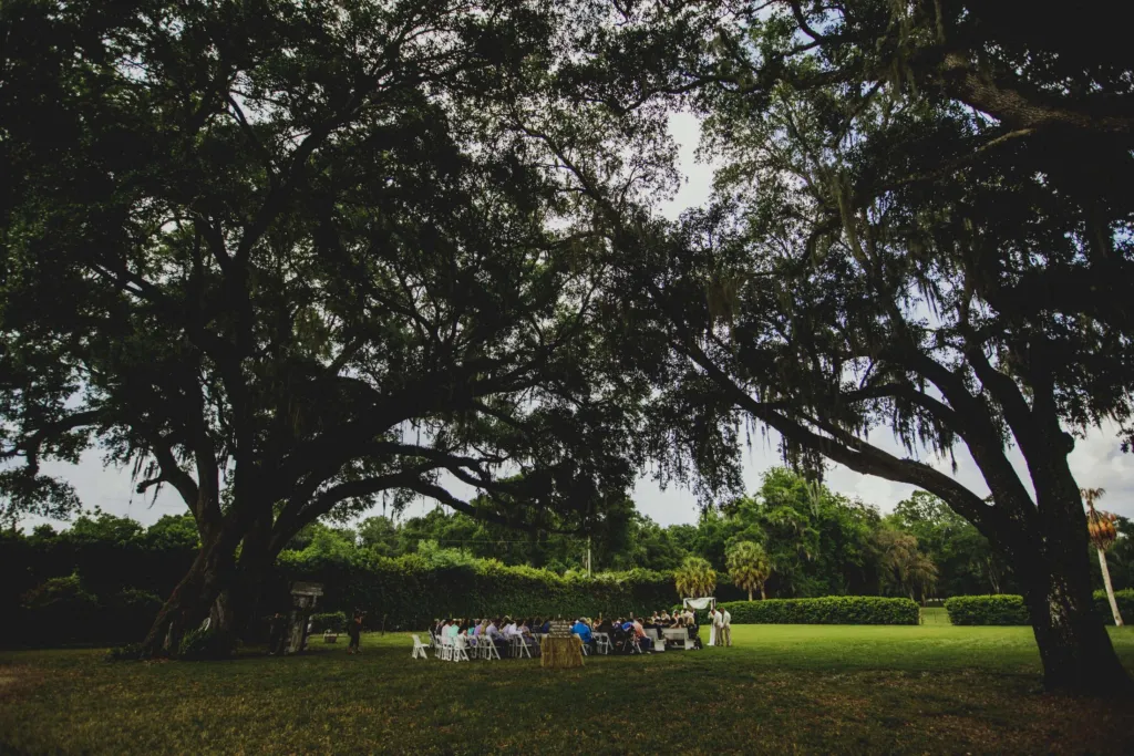 Wedding ceremony seated beneath the spreading live oaks at Triple C Ranch