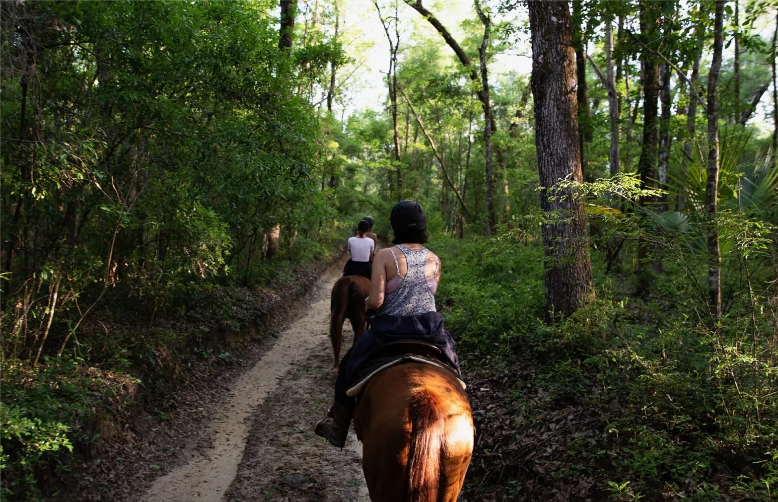 Riders on a guided trail ride through the Withlacoochee State Forest