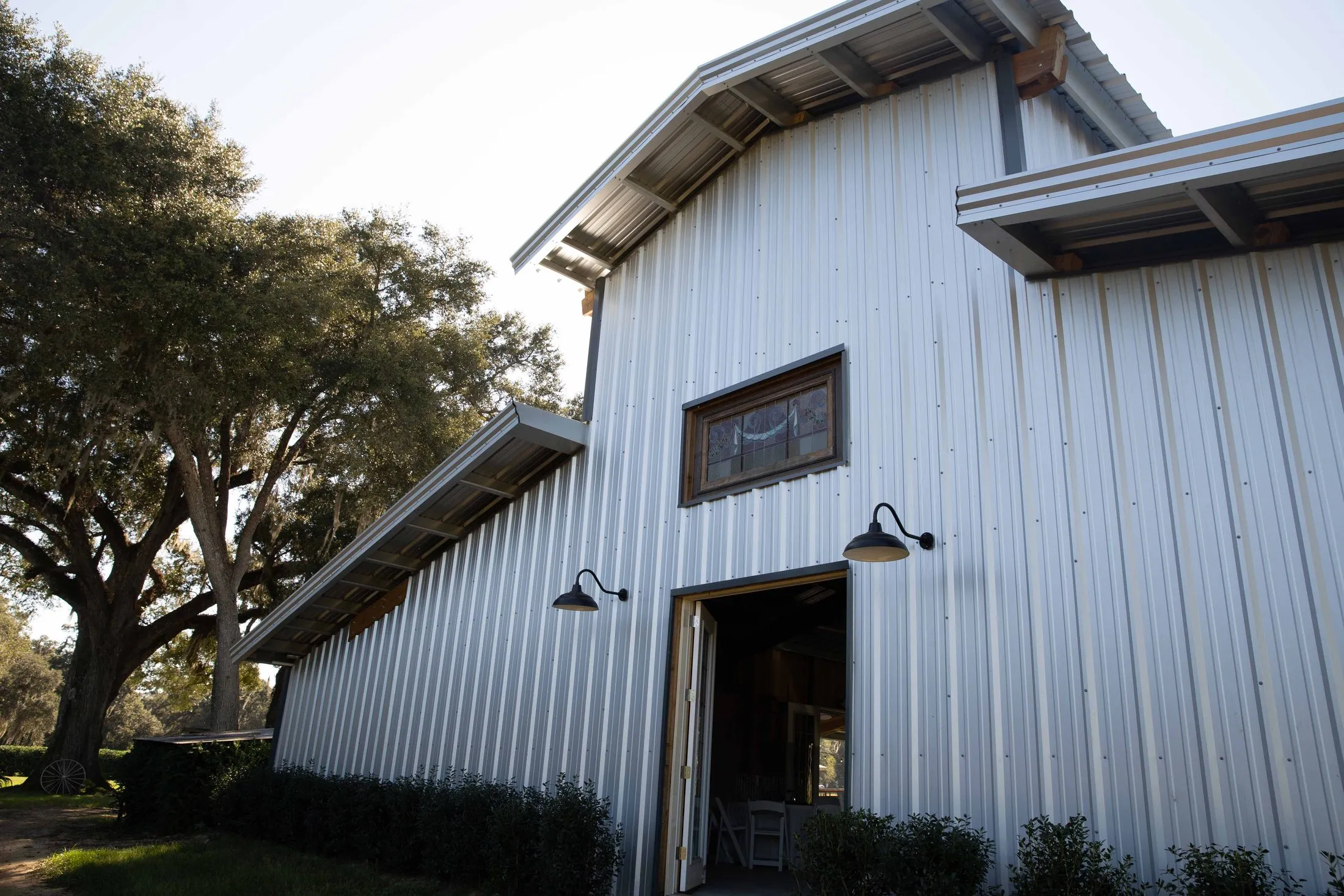 The white barn framed by live oaks